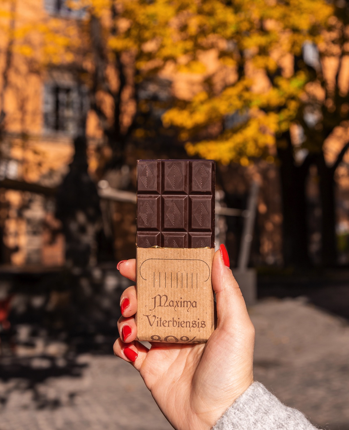 lanticalatteria_maxima-viterbiensis-80-cacao-purissimo-02 Cioccolato Viterbo Antica Latteria Barretta 50g 80% scartata